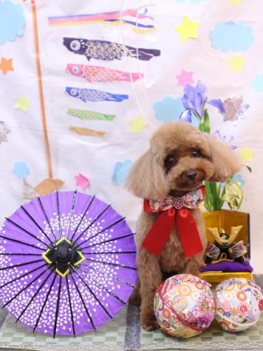 2024052ルアナちゃん